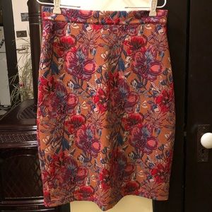 Medium Floral Pencil Skirt (Anthropologie)